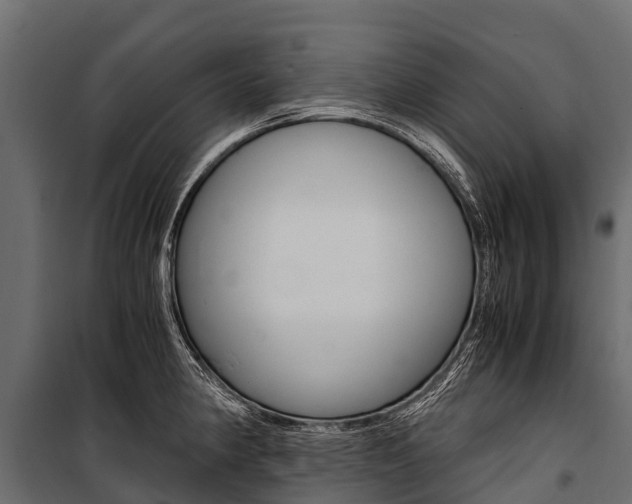 X0000100941190200806241155