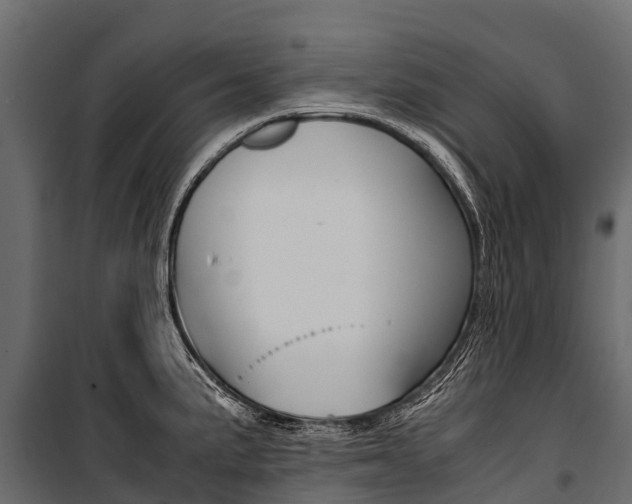 X0000100941191200806241155