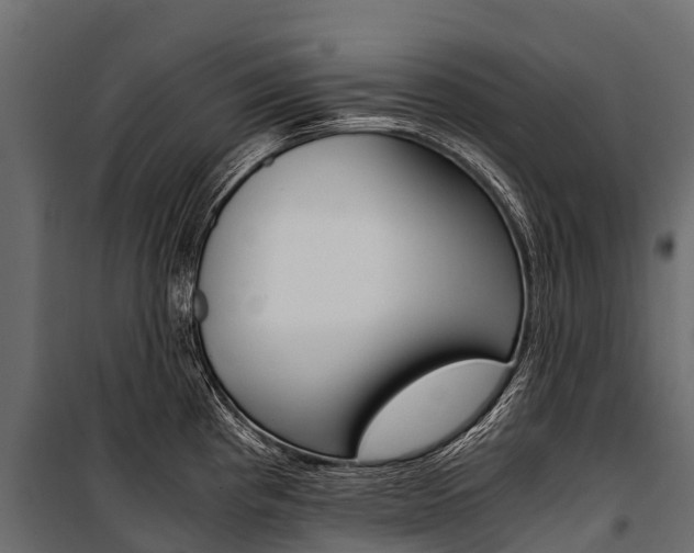 X0000100941193200806241155