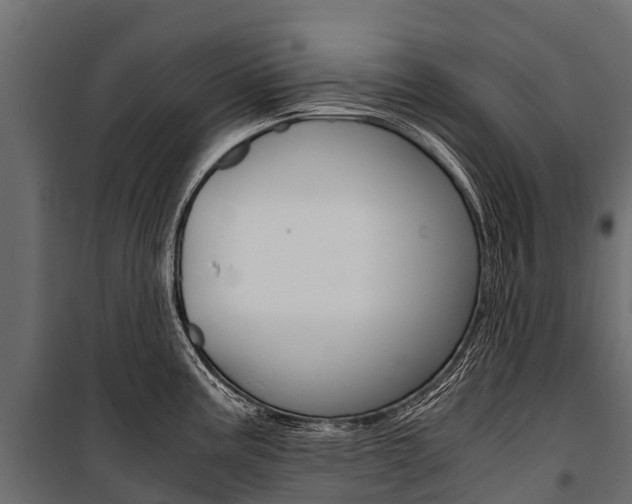 X0000100941195200806241155
