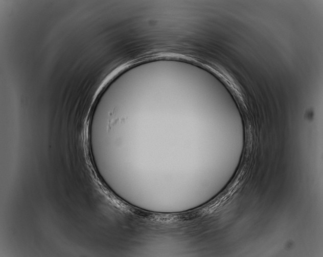 X0000100941198200806241154
