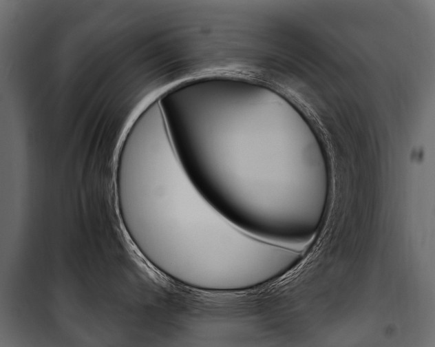 X0000100941200200806241154