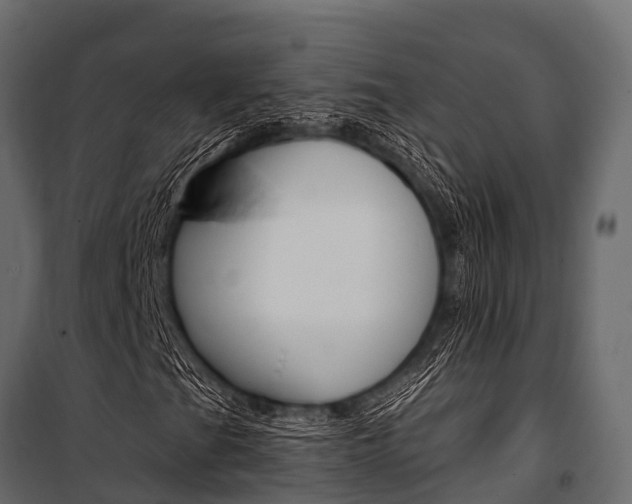 X0000100941201200806241154