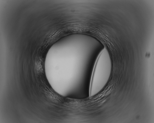 X0000100941202200806241154