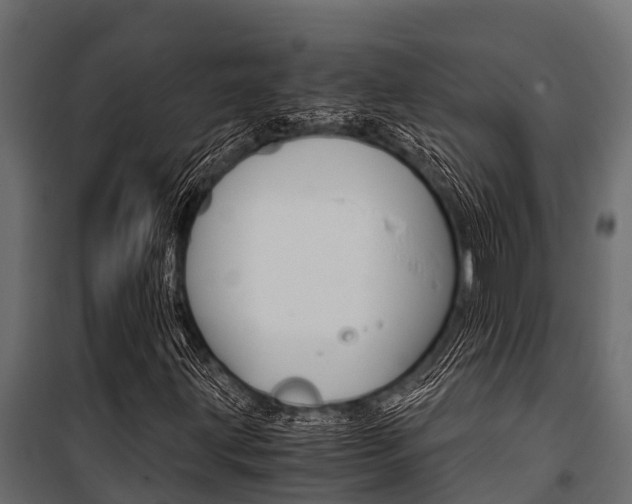 X0000100941203200806241154