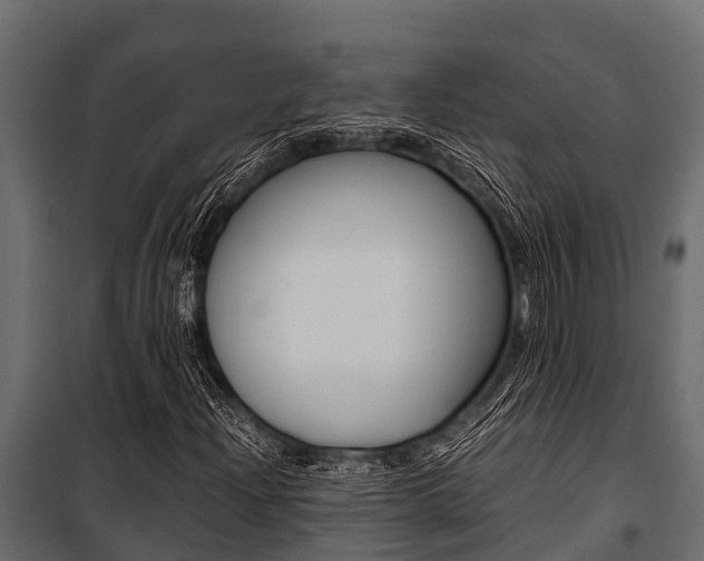 X0000100941204200806241154