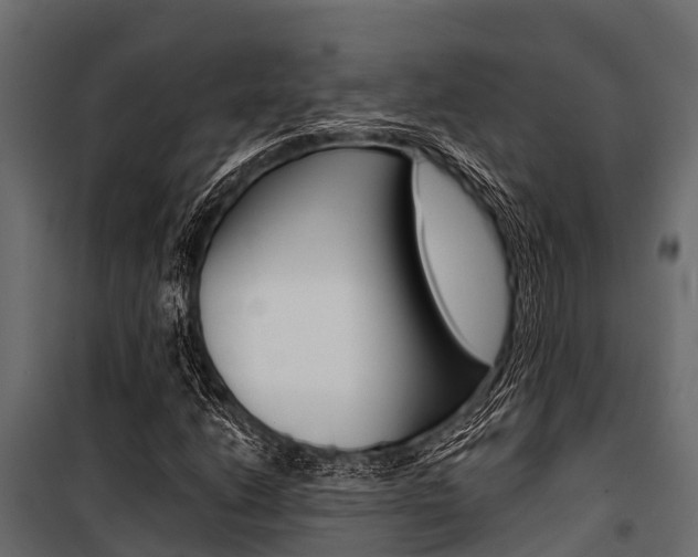 X0000100941206200806241154