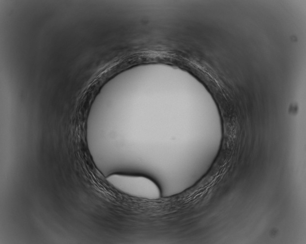 X0000100941207200806241154