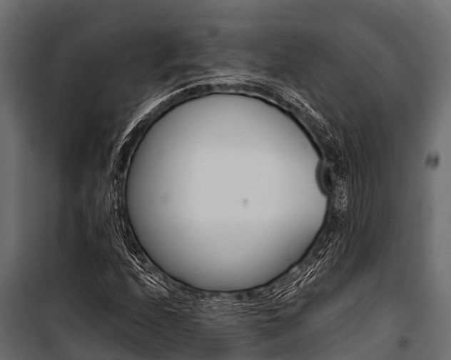 X0000100941208200806241154