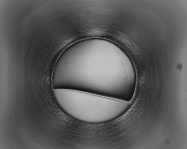 X0000100941209200806241154