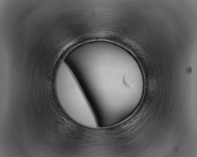 X0000100941210200806241154