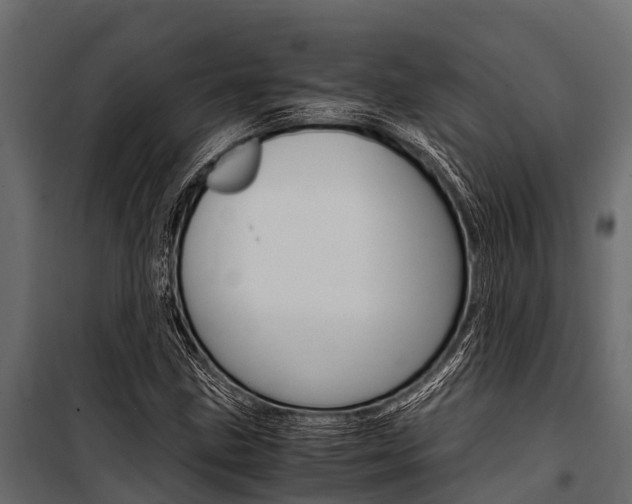 X0000100941211200806241154