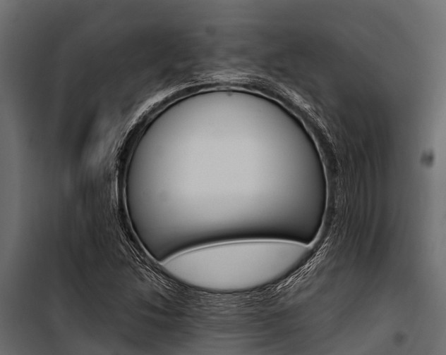 X0000100941214200806241154