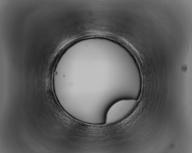 X0000100941215200806241154