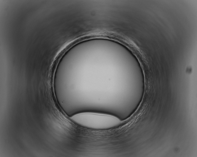 X0000100941216200806241154