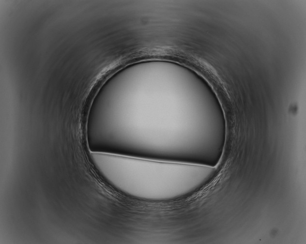 X0000100941218200806241154