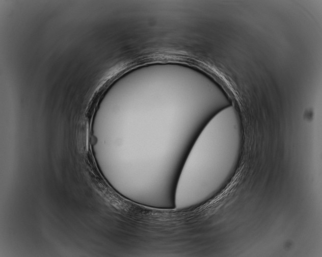 X0000100941219200806241154