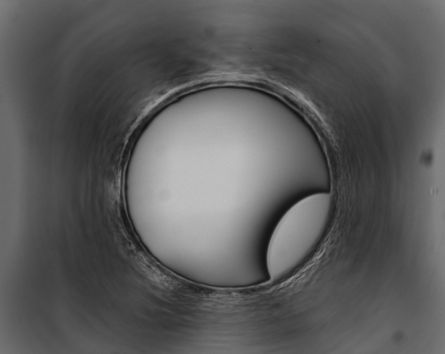 X0000100941220200806241154