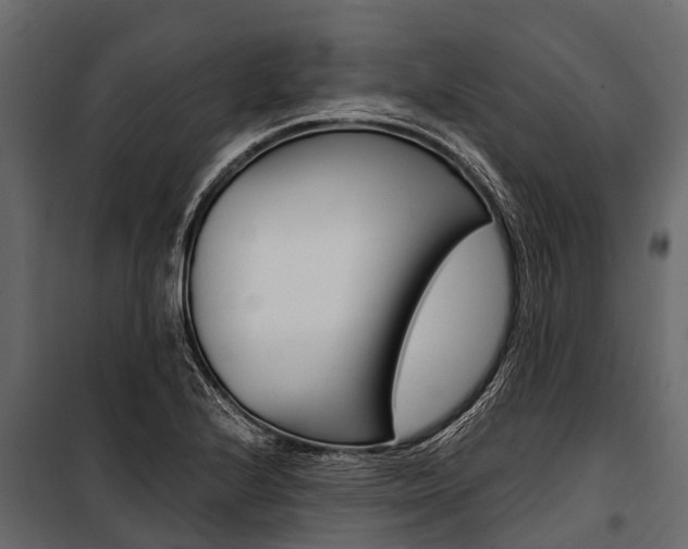 X0000100941224200806241154