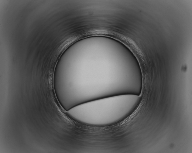 X0000100941225200806241154