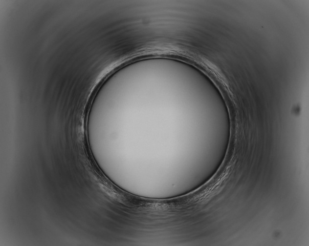 X0000100941226200806241154