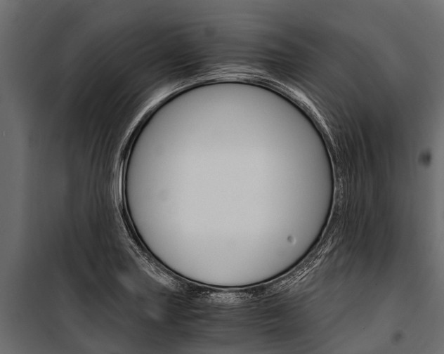 X0000100941227200806241154