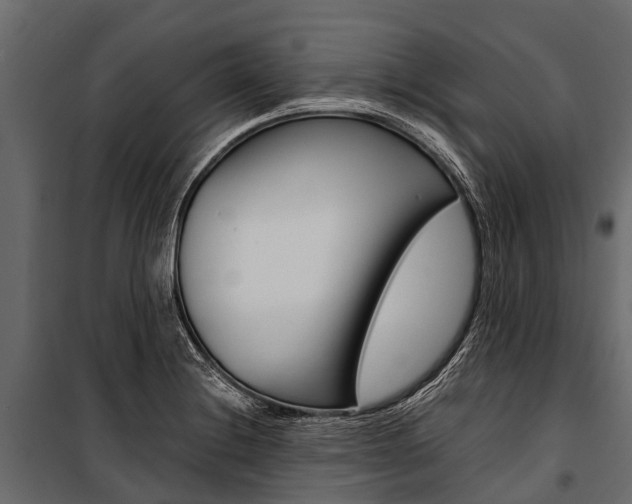 X0000100941228200806241154