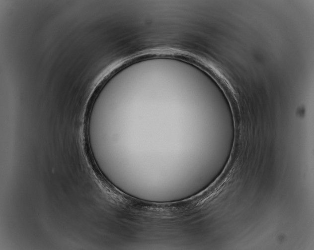 X0000100941229200806241154