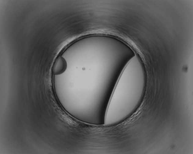 X0000100941230200806241154