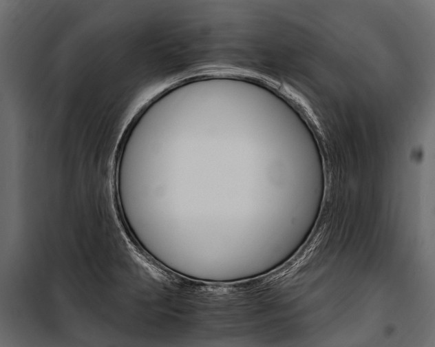X0000100941231200806241154