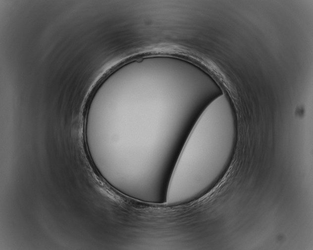 X0000100941232200806241154