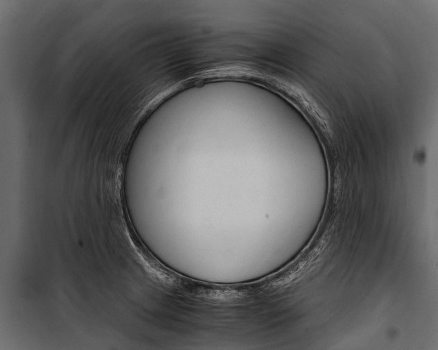 X0000100941233200806241154