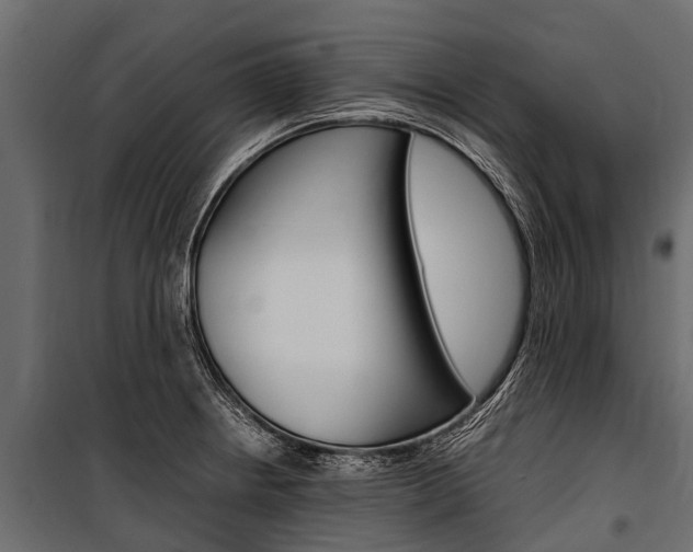 X0000100941234200806241154
