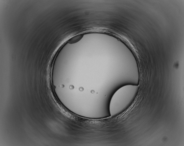 X0000100941235200806241154