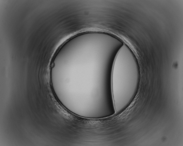 X0000100941238200806241154