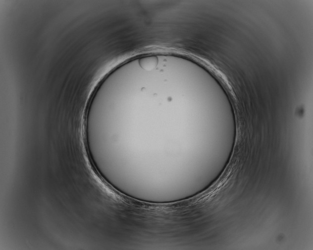 X0000100941239200806241154