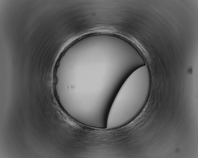 X0000100941240200806241154