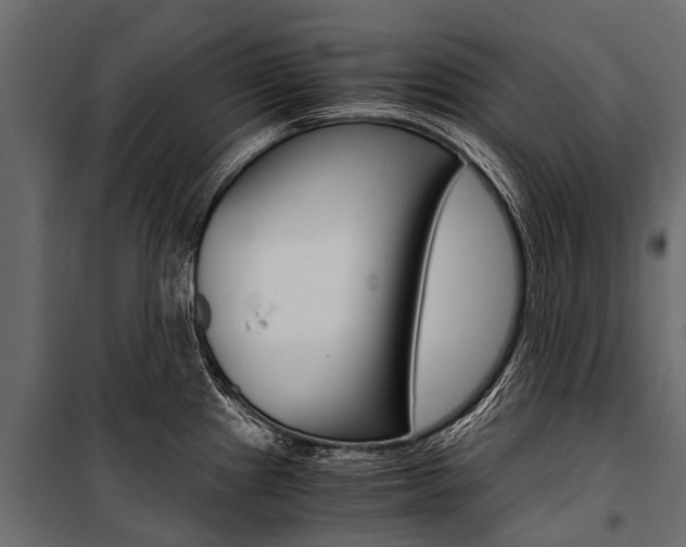 X0000100941241200806241154