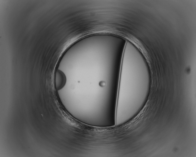 X0000100941242200806241154