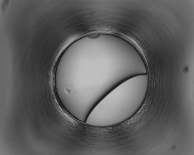 X0000100941243200806241154