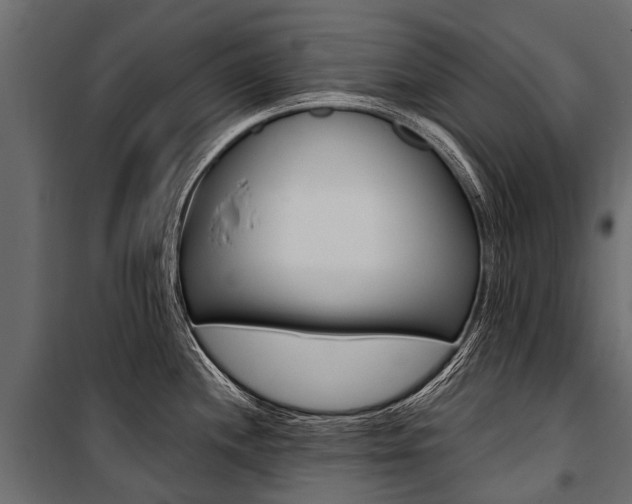 X0000100941244200806241154