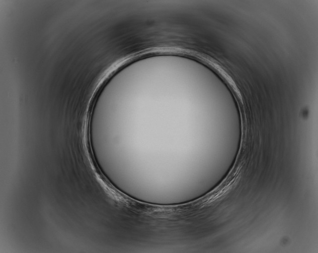 X0000100941245200806241154