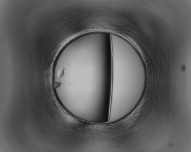X0000100941246200806241154