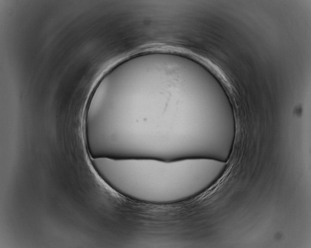 X0000100941247200806241154