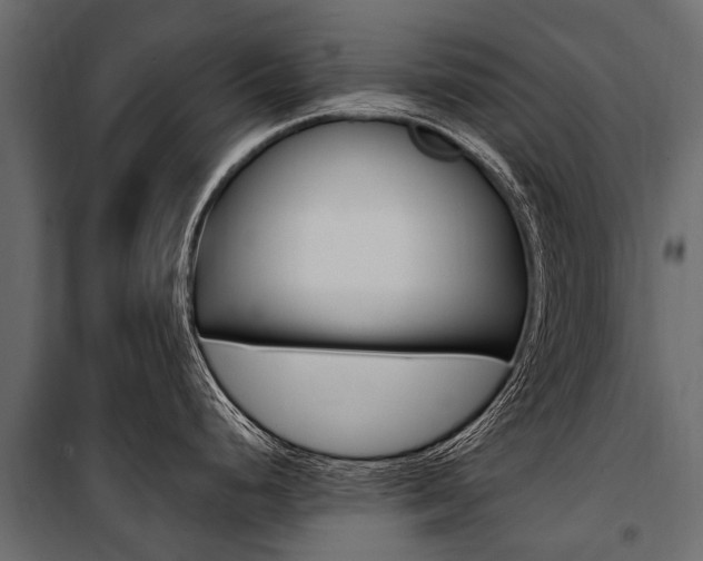 X0000100941248200806241154
