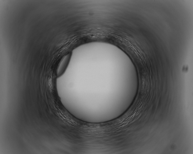 X0000100941250200806241154