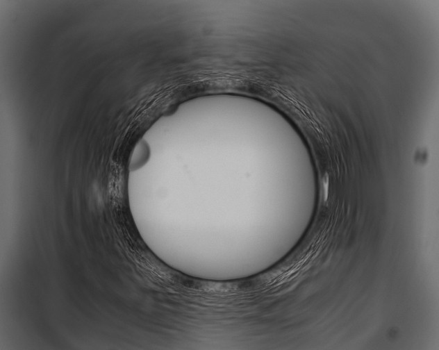X0000100941251200806241154