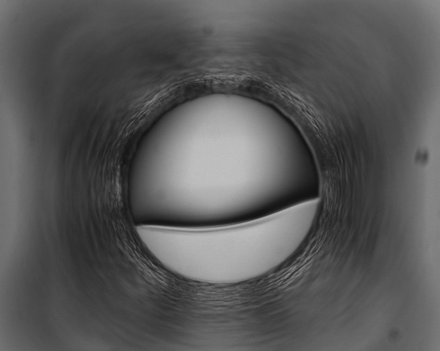 X0000100941252200806241154