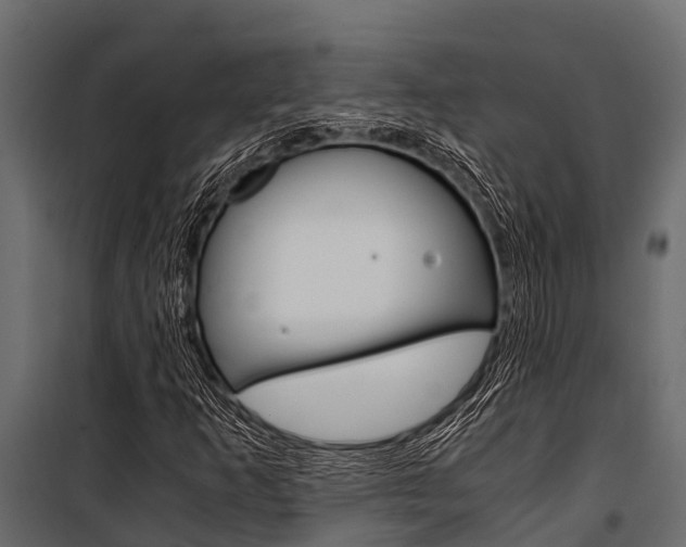 X0000100941253200806241154