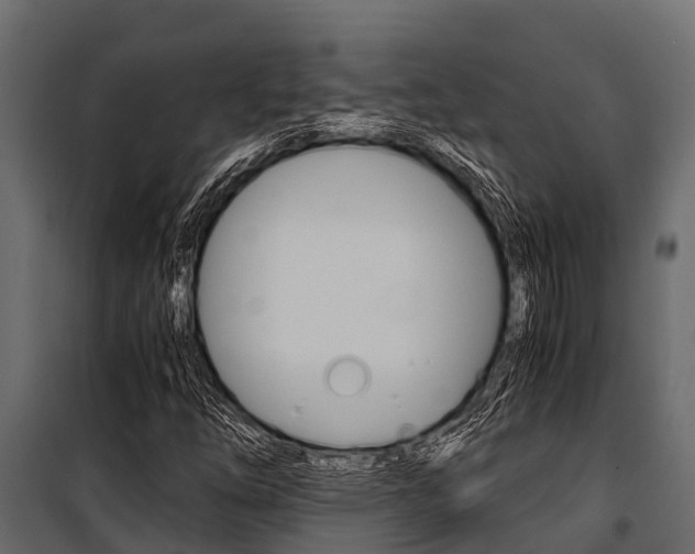 X0000100941254200806241154